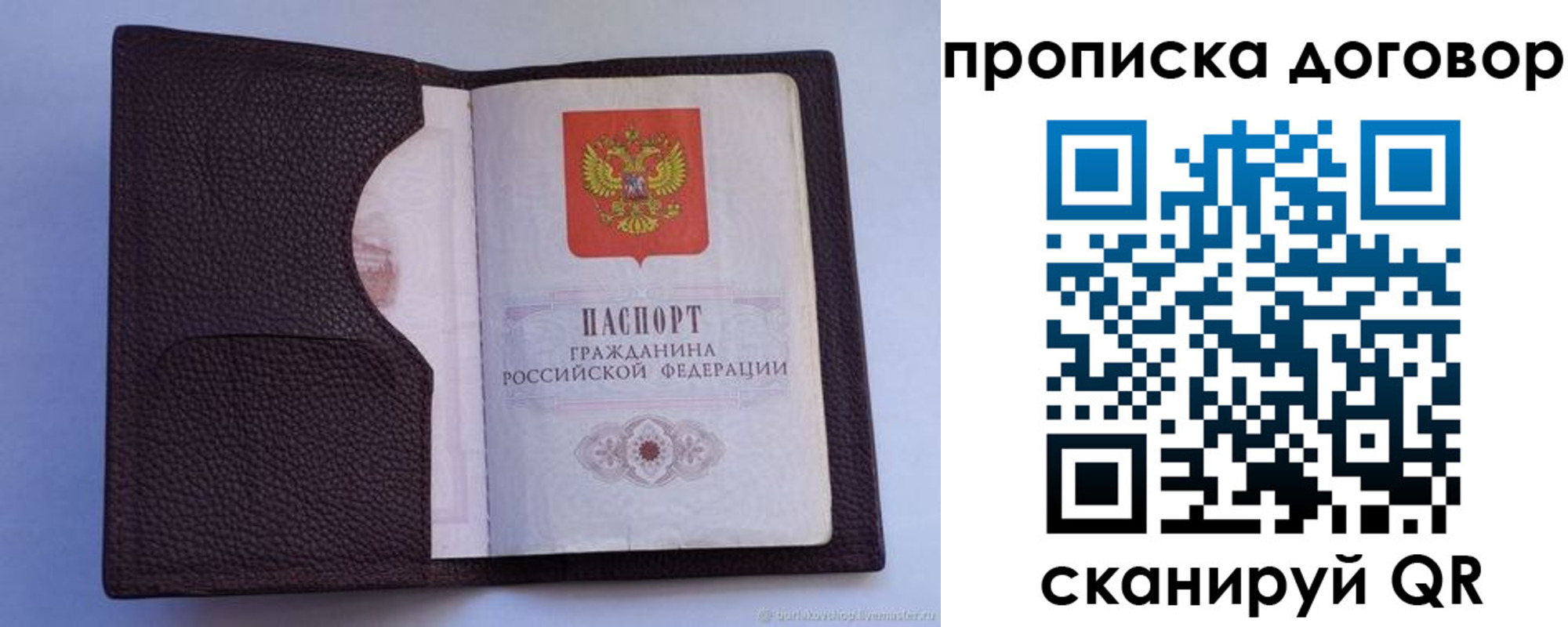 прописка поиск в Тамбове